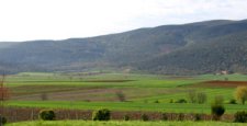 Panorama sul Montemaggio a nord di Siena (5573 bytes)